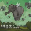 Robby Hecht - Last of the Long Days